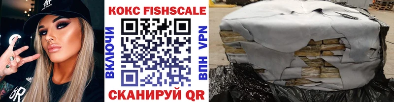 MEGA как зайти  что такое   Сенгилей  Cocaine FishScale 