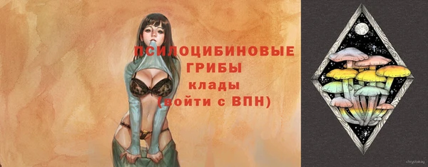 стафф Алексеевка