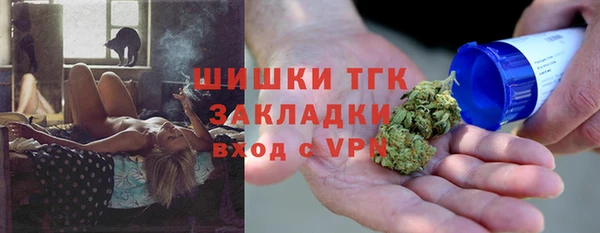 PSILOCYBIN Алзамай